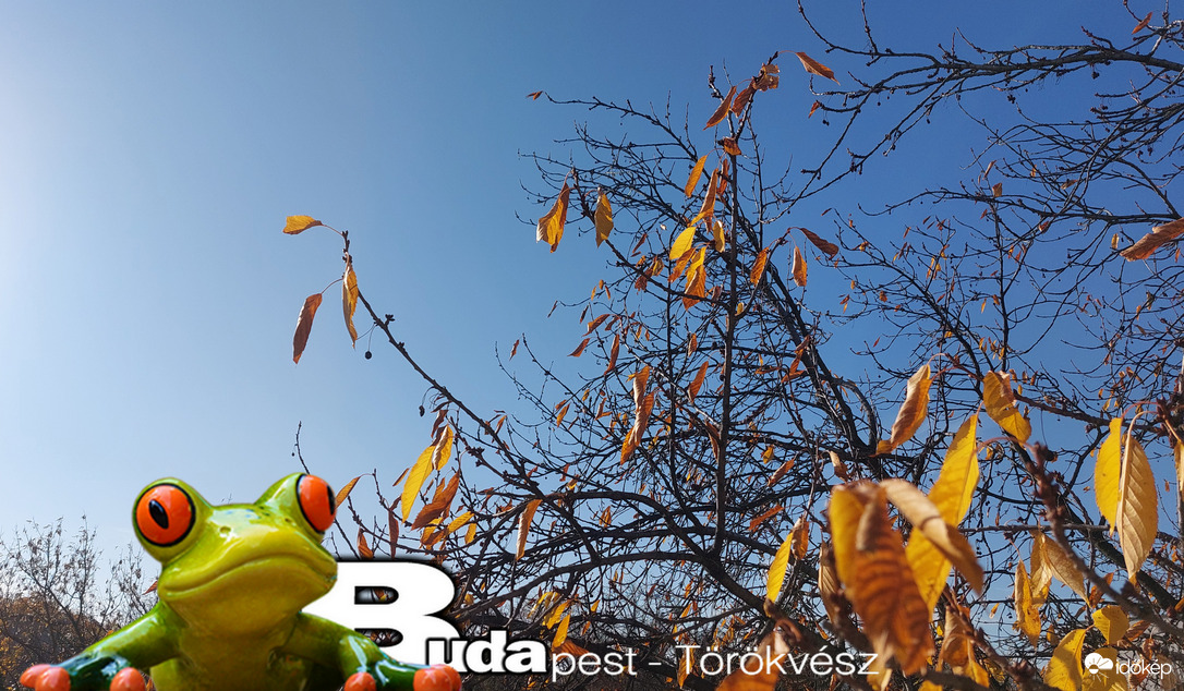 Budapest II.ker - Törökvész