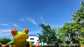 Budapest II.ker - Törökvész