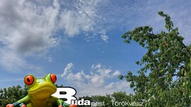Budapest II.ker - Törökvész