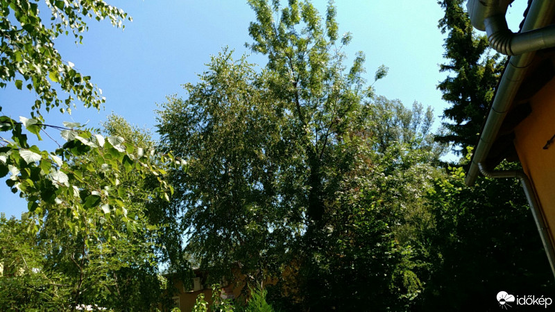 Észlelési fényképek