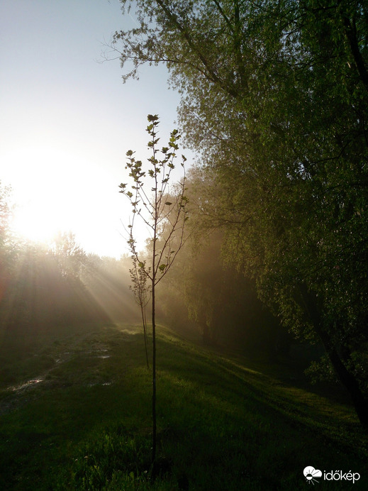 Imádnivaló fények...