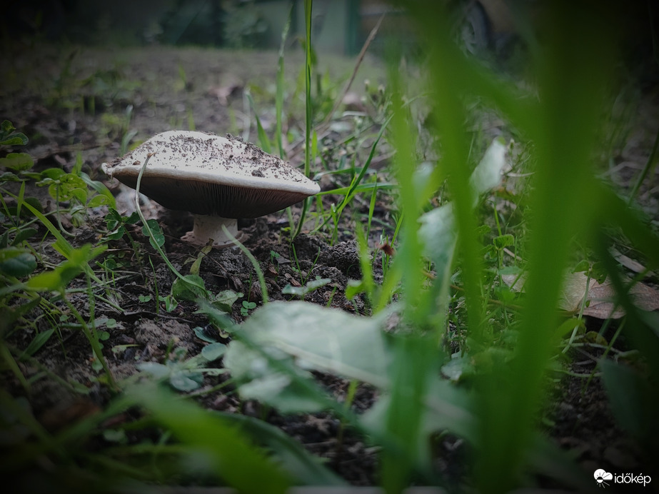 Aki keres,az talál :-)