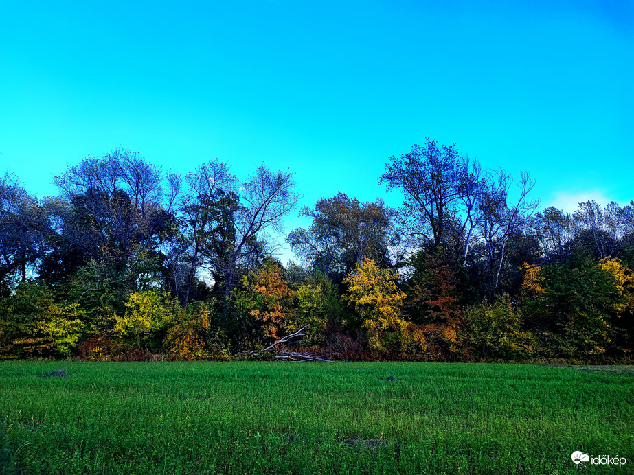 Ezerarcú természet 