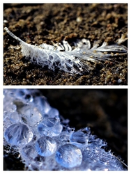 Egy hűvös őszi reggelen 