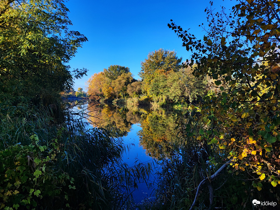 Reggeli napsütésben 