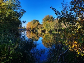 Reggeli napsütésben 