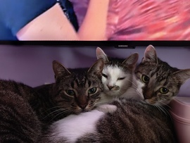 Ez itt a reklám helye :-D