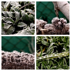 Hűs volt a hajnal...