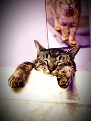 Mert élni tudni kell :-)