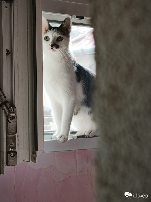 Szellőztetés közben...csupa élet Lady