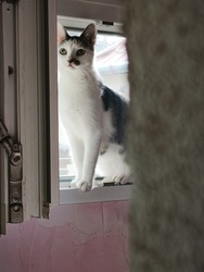 Szellőztetés közben...csupa élet Lady