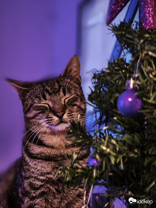 Együtt várjuk a karácsonyt :-)