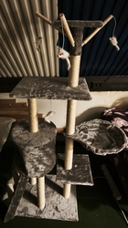 Meglepetés a cicá(k)nak...:-))