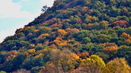 Részlet