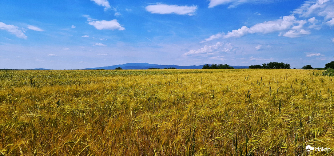 Feldebrő