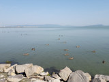 Balatonfenyves