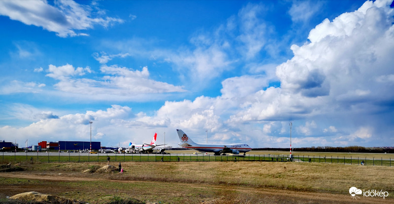 Valami mintha mozogna a kert végében:) 