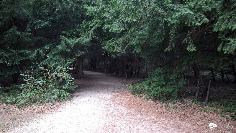 Természetben - Felcsút