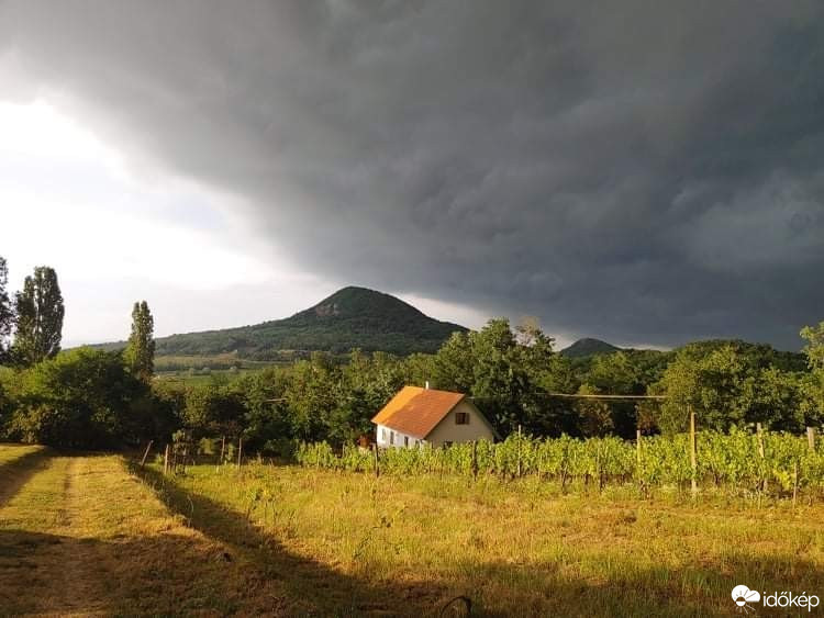 Észlelési fényképek