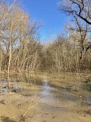 Tiszaszederkényi ártér