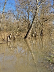 Sajó-(Tisza) áradás