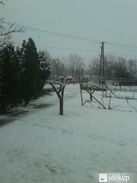 Észlelési fényképek