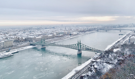 Crows over the Danube