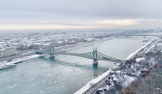 Crows over the Danube