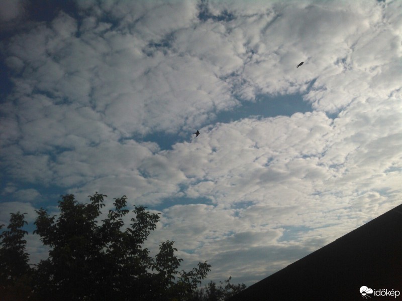 Észlelési fényképek