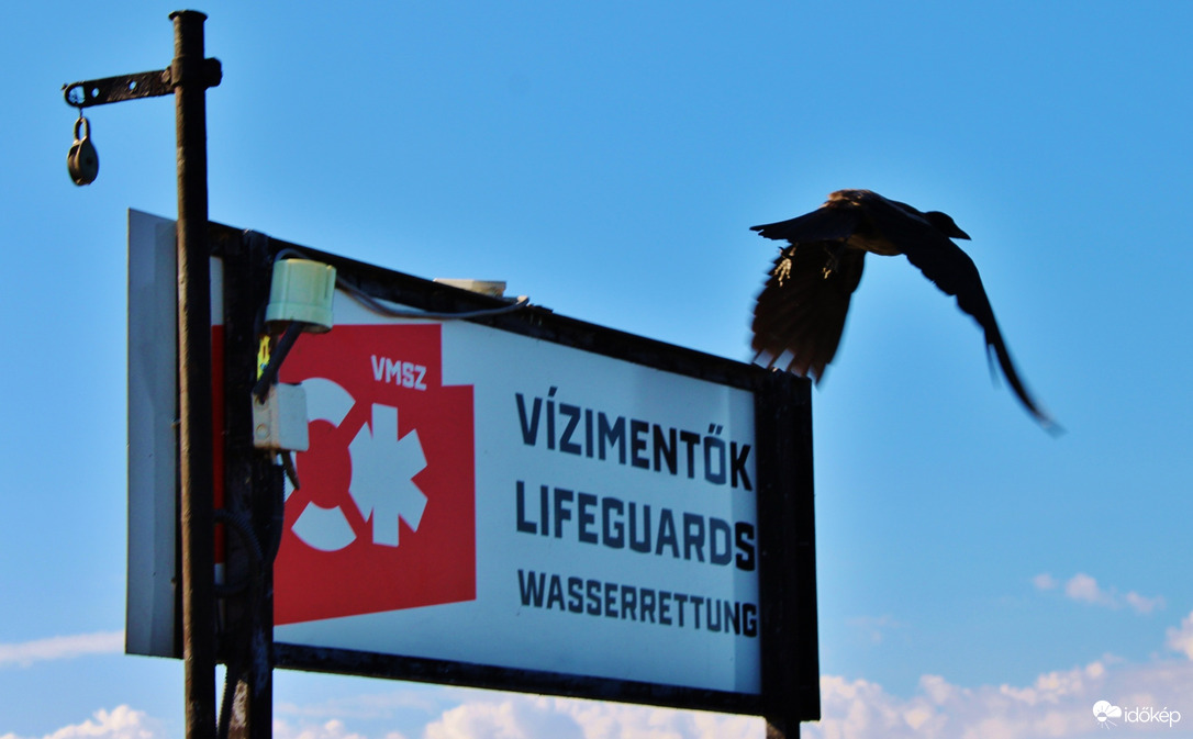 Érdekességek