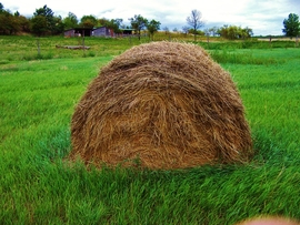 pecztibor fotója