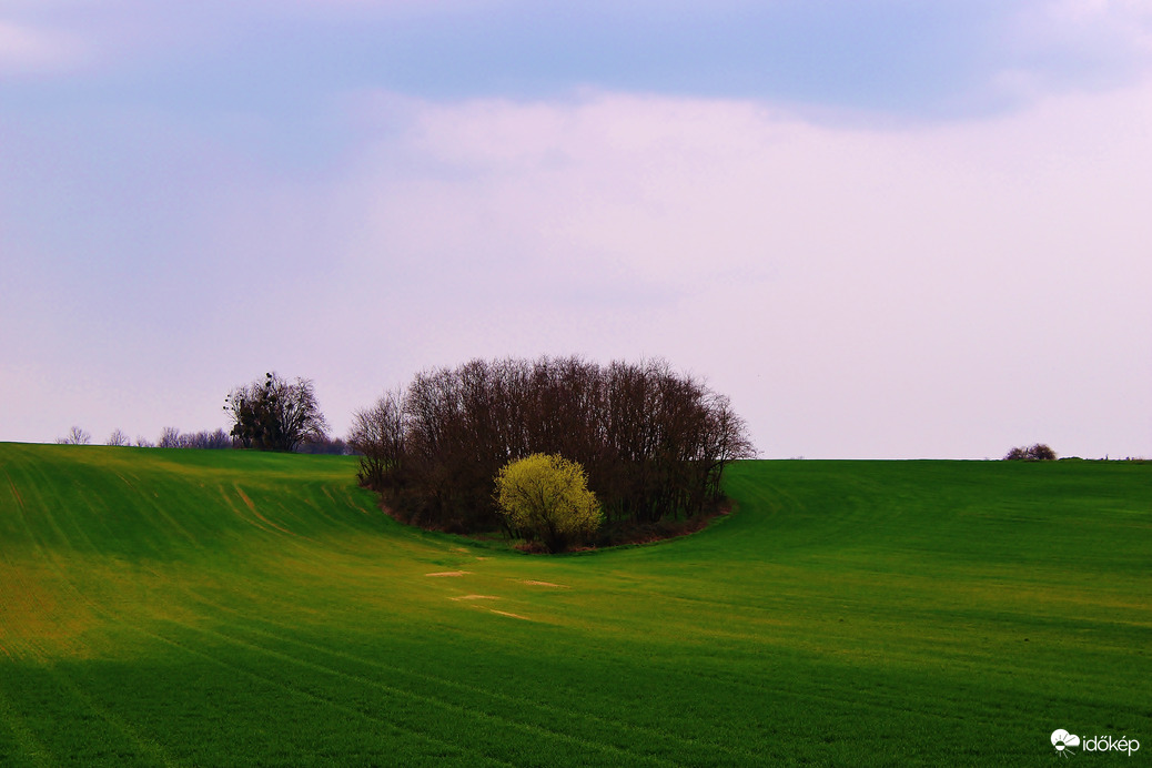 Tájkép