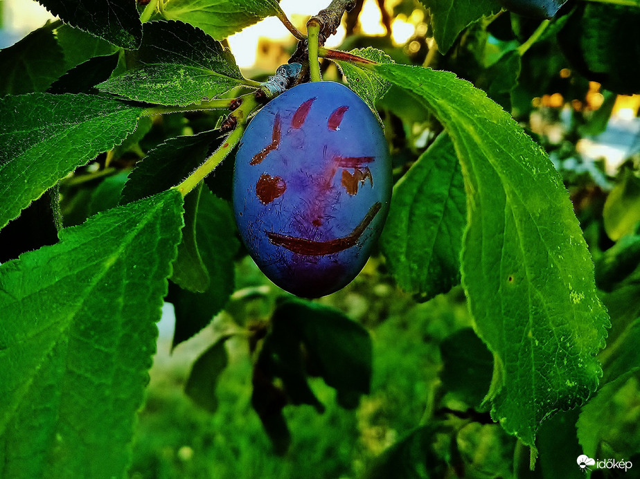 Érettségi fénykép:)) 