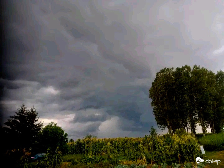 Pécz Dávid fotója 