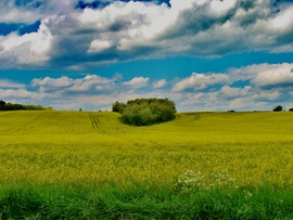 pecztibor fotója