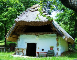 Friss képek