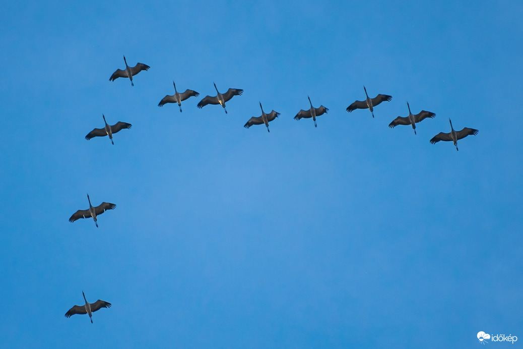 Daruvonulás március első napján :)
