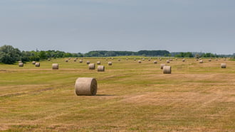 Püspökladány