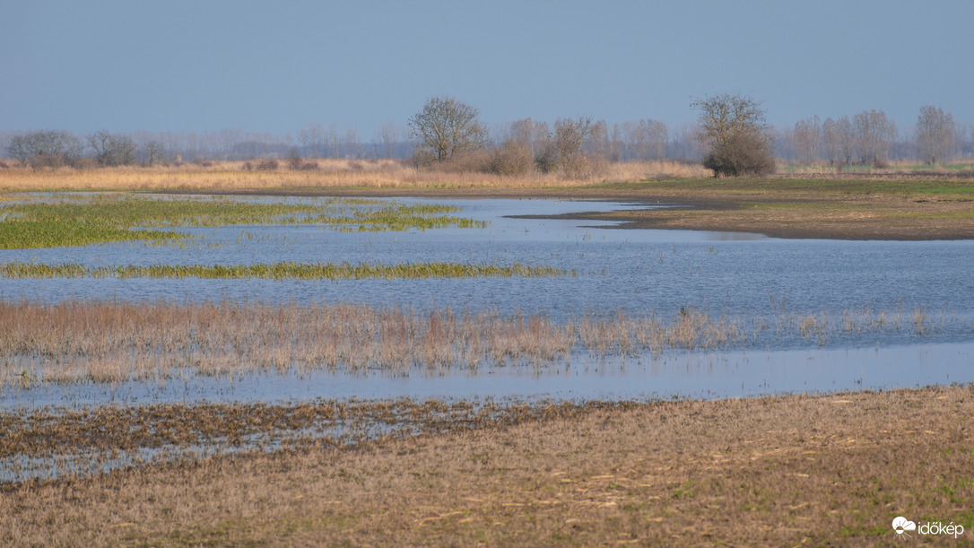 Sárréti-főcsatorna ártere, Szerep déli határában