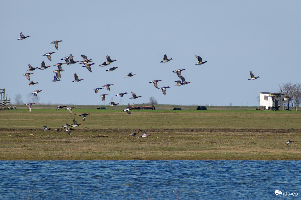 Püspökladány, Ágota-puszta