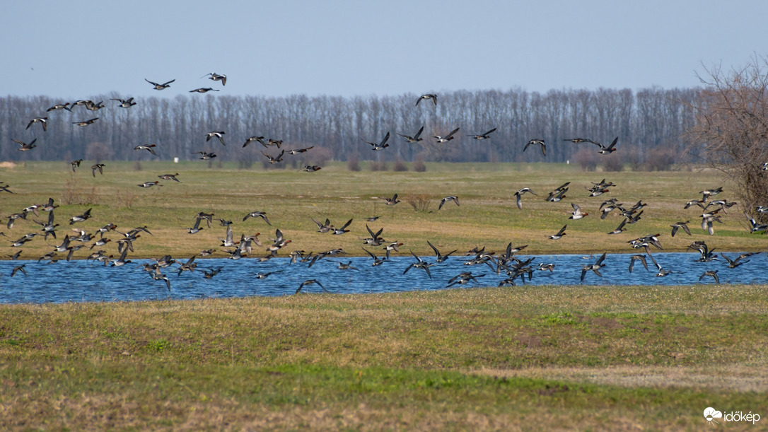 Püspökladány, Ágota-puszta