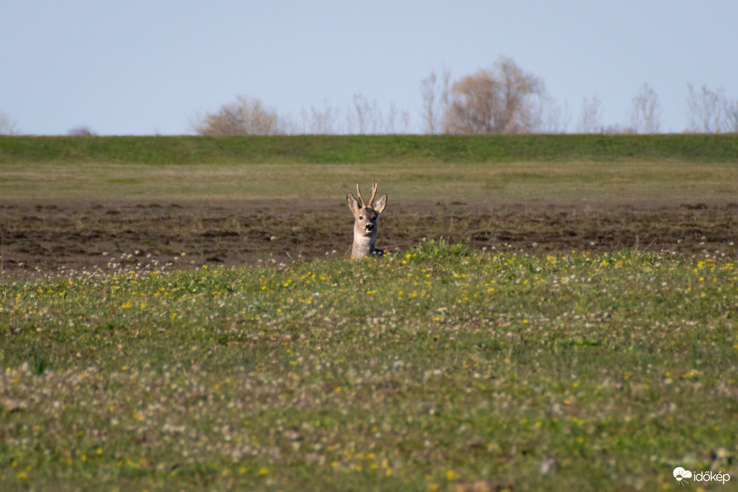 Püspökladány, Ágota-puszta