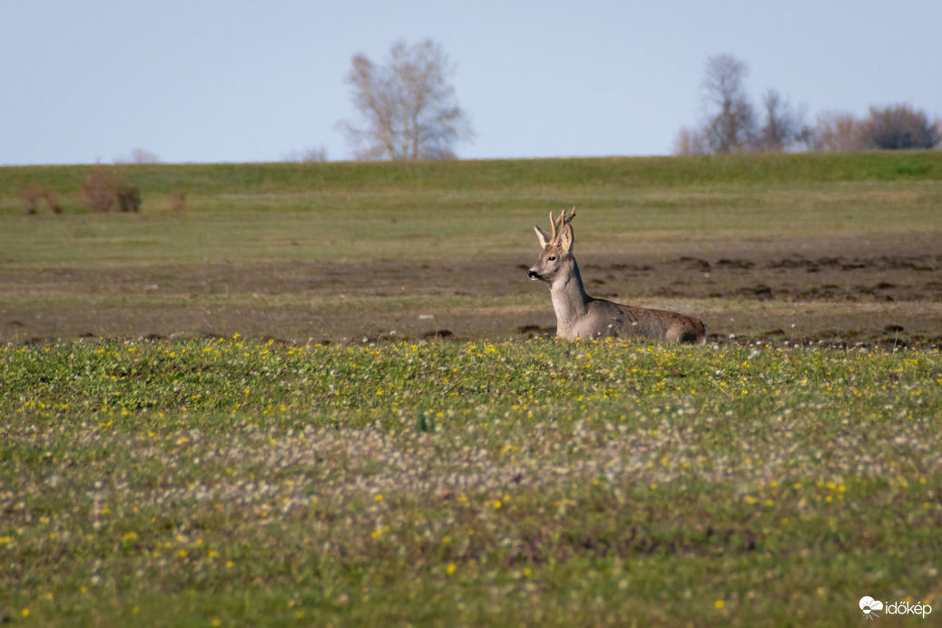 Püspökladány, Ágota-puszta