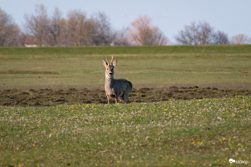 Püspökladány, Ágota-puszta