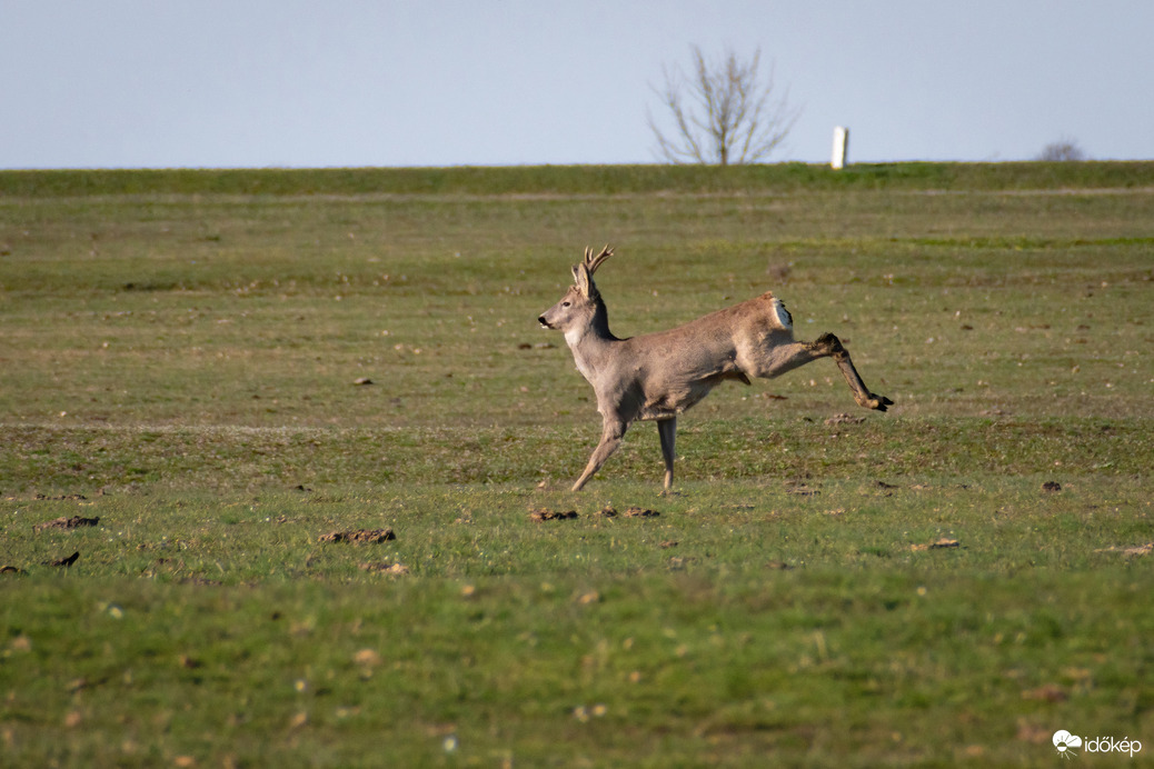 Püspökladány, Ágota-puszta