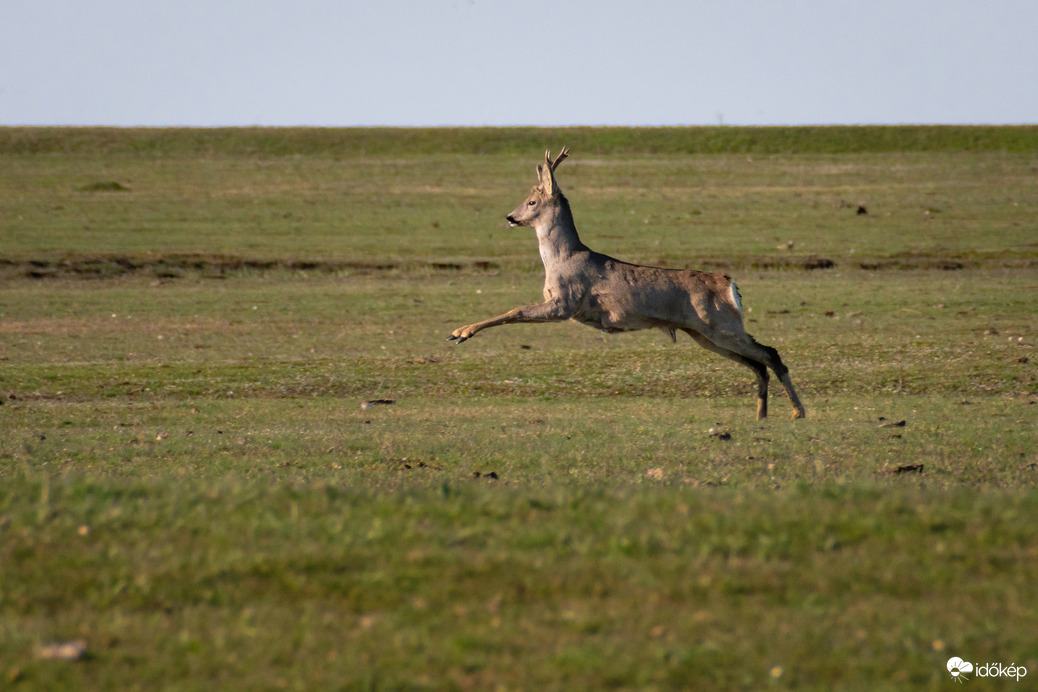 Püspökladány, Ágota-puszta