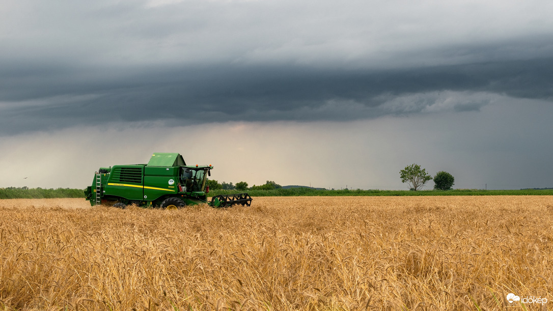 Püspökladány - Érkező zivatar és aratás