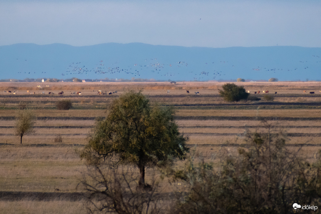Daruvonulás a távolban