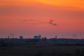Daruvonulás Karcag határában