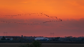 Daruvonulás Karcag határában